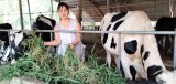 Chị Nguyễn Thị Hồng Loan: Quyết tâm thay đổi cuộc sống