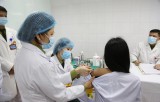 Vắcxin COVID-19 của Astra Zeneca dự kiến về Việt Nam trong quý 1