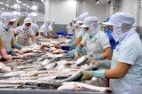 Vietnam contributes to WTO talks on fisheries subsidies