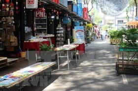 胡志明市书街：丰富人民精神生活的“文化套餐”