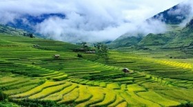 越南安沛省木江界县旅程中不可错过的美景