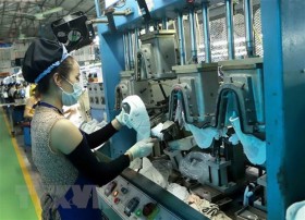 Socialist-oriented economy helps Vietnam go forward confidently: Russian expert