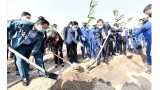 河内市发起2021辛丑年春季植树节活动