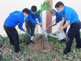 Tree-planting festival launched