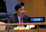Vietnam urges int’l community to work with ASEAN in Myanmar issue
