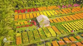 通过数字平台广泛宣传推介越南风土人情之美