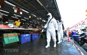 Southeast Asian nations log more COVID-19 cases