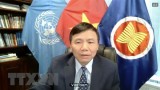 越南与联合国安理会：越南一向重视妇女的作用