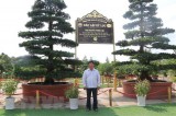 Cặp cây vạn niên tùng ở Đồng Tháp xác lập kỷ lục Việt Nam