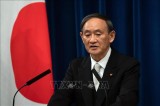 日本与印尼在印度洋-太平洋愿景框架下促进合作