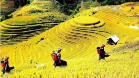越南西北山林令人痴迷的木江界