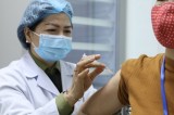 Hai vaccine phòng COVID-19 của Việt Nam đều cho kết quả an toàn