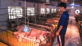 Đẩy mạnh phát triển nông nghiệp công nghệ cao