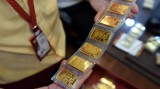 今日上午越南国内市场黄金价格下降