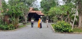 清源竹林禅院：恢复生活平衡的地点