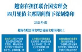 图表新闻：越南在担任联合国安理会四月轮值主席期间留下深刻烙印