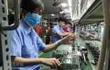 越南企业发展释放积极向好迹象