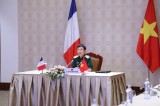 Working group for Vietnam-France defence ties meet via videoconference
