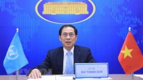 越南与联合国安理会：促进多边合作以便解决公共事务