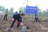 Tree planting festival themed “Forever grateful to Uncle Ho” launched