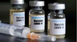 Top legislator asks for EU's support in accessing COVID-19 vaccines