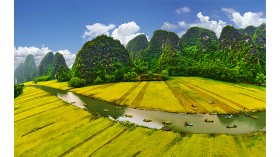 三谷-碧洞之金色