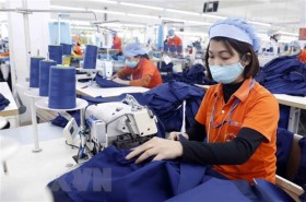 EAEU-ASEAN Business Dialogue held within SPIEF-2021 framework
