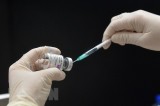 Bộ Y tế cảnh báo lừa đảo tiêm chủng vaccine phòng COVID-19