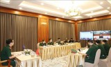 Vietnam attends virtual ADSOM+ Working Group conference