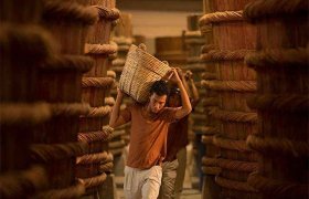 越南富国鱼露制作业被列入国家级非物质文化遗产名录