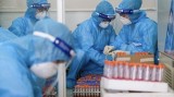 Vietnam confirms 71 new COVID-19 infections