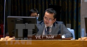 Vietnam supports ending of presence of foreign fighters, mercenaries in Libya