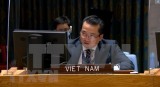 Vietnam supports ending of presence of foreign fighters, mercenaries in Libya