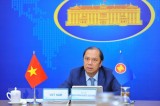 Việt Nam dự Hội nghị Quan chức cao cấp ASEAN và Hội nghị SEANWFZ ExCom