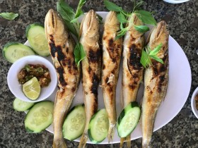Cá thuẫn biển Châu Me