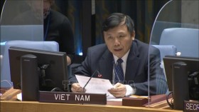Vietnam worried about continued violence, extreme racial discrimination
