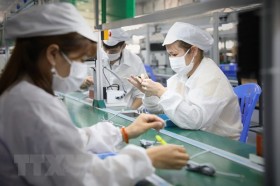 TP.HCM: Doanh nghiệp quyết tâm duy trì sản xuất giữa tâm dịch