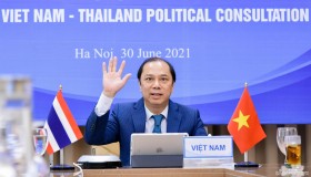 越泰第八次副外长级政治磋商以视频方式举行