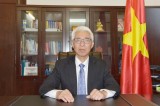 Vietnam, China sustain development trend in bilateral ties despite pandemic