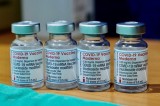 Vietnam calls for sharing of information on COVID-19 vaccines