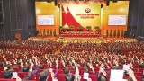 对越共中央总书记署名文章的心得体会：建设廉洁且全面强大的党和政治体系