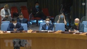 越南支持利比亚全面政治措施和按期进行国家选举