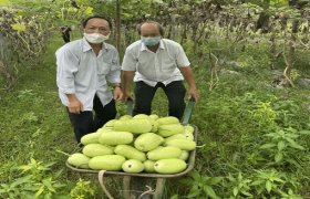 Nghĩa tình ở “vùng xanh”