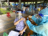 Cập nhật mới nhất về tình hình tiêm vaccine COVID-19 tại Việt Nam
