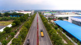 Đường tạo lực Bắc Tân Uyên - Phú Giáo - Bàu Bàng: Nhanh chóng giải phóng mặt bằng đoạn qua Bàu Bàng