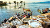 Mekong Delta region seeks to revive tourism industry