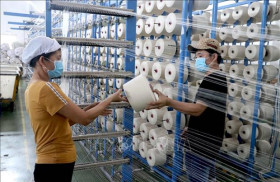 COVID-19 could not stop Vietnam's economy: The Economist