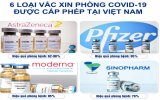 6 loại vắc xin phòng COVID-19 được cấp phép tại Việt Nam