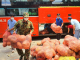 Tỉnh Lâm Đồng tiếp tục hỗ trợ 100 tấn nông sản
