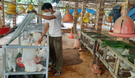 Cuộc sống mới ở “vùng xanh” An Sơn